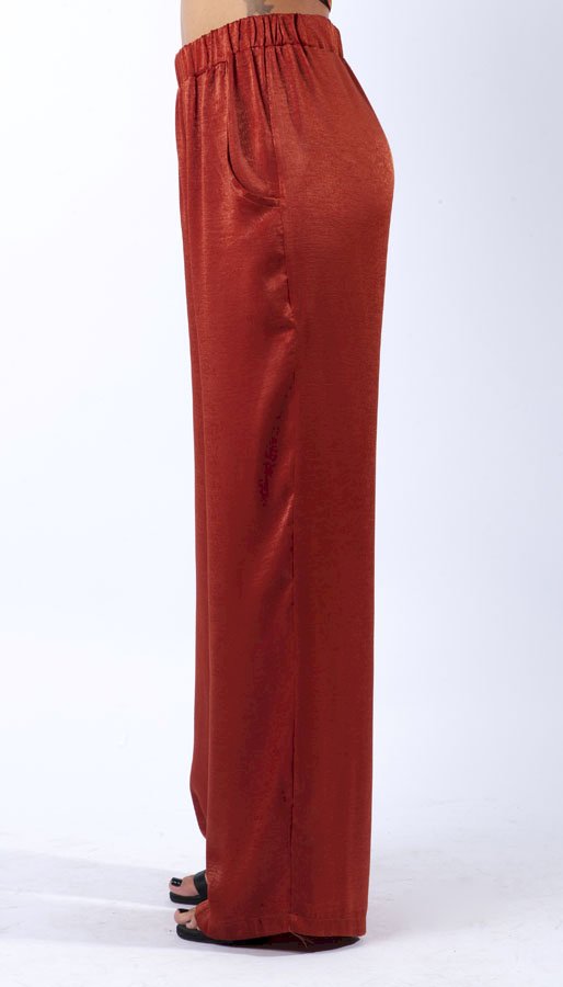 Sandra pants Satin cupro -SOLD OUT