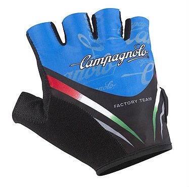 Glove C420