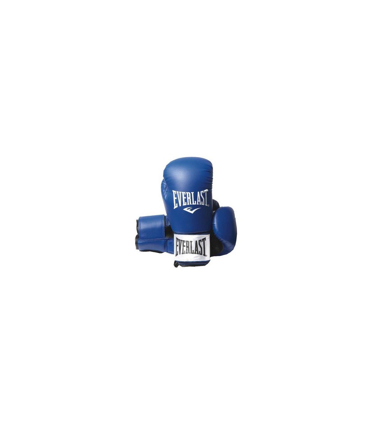 Everlast Γάντια Προπόνησης Rodney